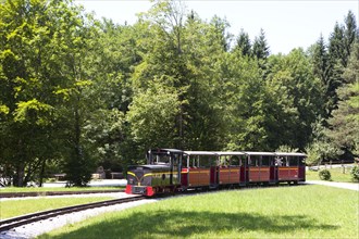 Museum railway