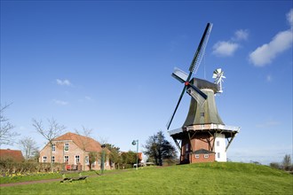 Green windmill