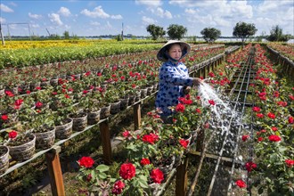 Worker watering the flowers