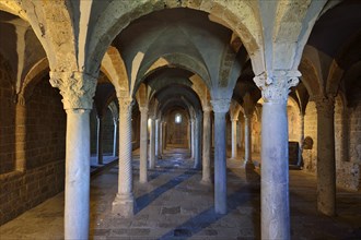 Hall crypt with ancient reused columns in the Basilica of San Pietro