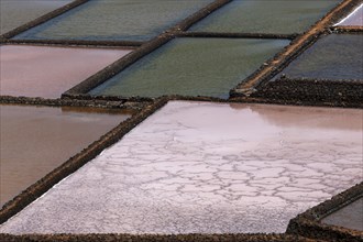 Sea salt production