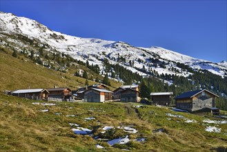 Nonsalm alp below the Nons-Jochl