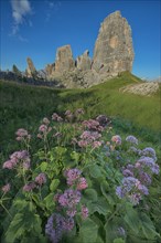 Cinque Torri with blue sky and a meadow of violet flowers in the foreground