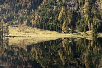 Autumn at Etrachsee Lake