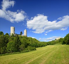 Ruins of Rudelsburg Castle and Burg Saaleck Castle