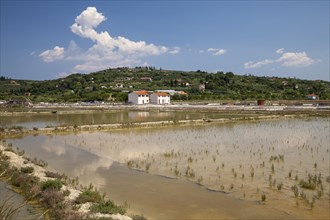 Salt works in the nature reserve of Strunjan