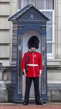 Guard of the Royal Guard with bearskin in front of Buckingham Palace