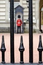 Guardsman outside Buckingham Palace