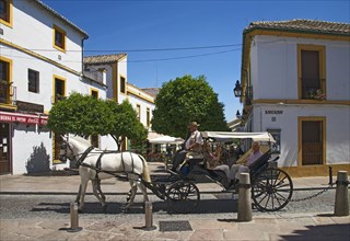 Carriage in the old town