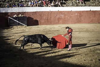 Torero and bull