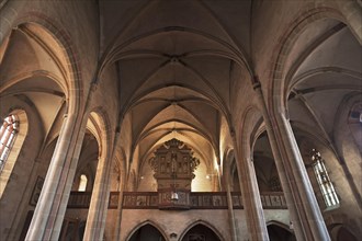 Vaults and organ loft of St. Mary's Church