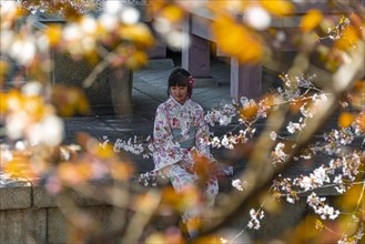 Japanese woman with kimono sitting at pagoda Amidado