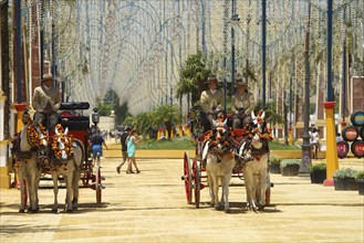 Carriages at the Feria del Caballo