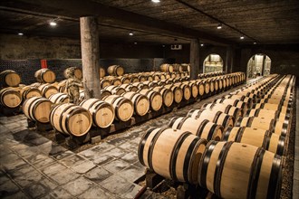 Barrels in the wine cellar of Wine Castle Genoels Edleren