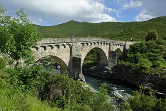 Old Genoese bridge on the river Tavignone in Altiani