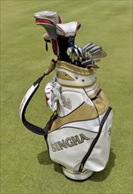 Golf bag with clubs on the green