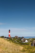 Thatched Frisian houses with lighthouse