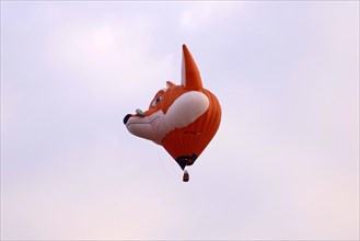 Balloon in the shape of a fox head