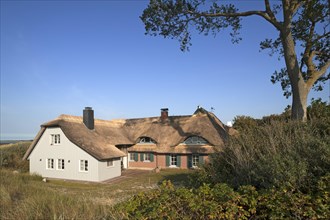 Thatched holiday cottage on the Baltic Sea beach