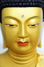 Head of a golden Buddha sculpture