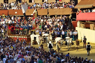 Ox cart at the historic horse race Palio di Siena