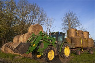Tractor with round straw bales on a field and on a trailer
