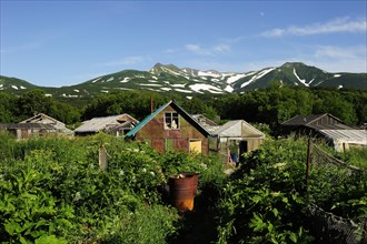 Small settlement with greenhouses heated by thermal springs near Kurile Lake