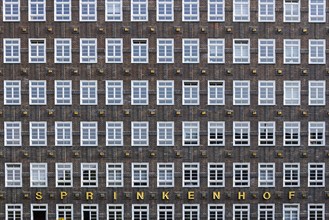 Rows of windows