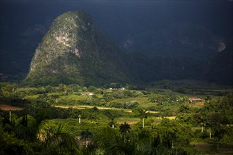 Tobacco fields and the Mogotes karst mountains
