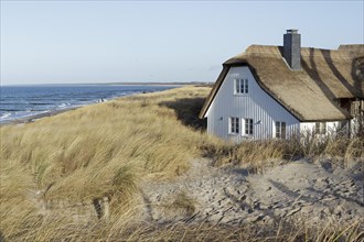 Thatched house on the beach