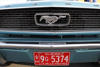 License plate