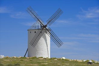 Windmill