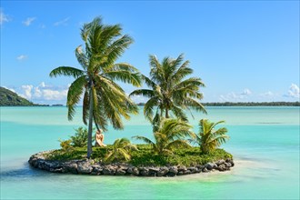 Palm trees on a small South Seas island
