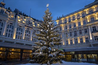 Christmas tree in front of Hotel Pupp