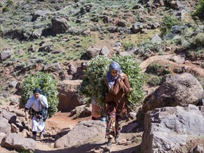 Several women carrying heavy loads on path in the Atlas Mountains