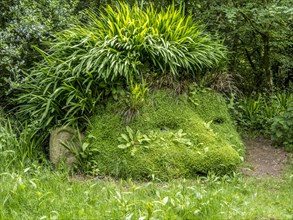 Figure made of plants in the Lost Gardens of Heligan