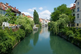 Ljubljanica and promenade