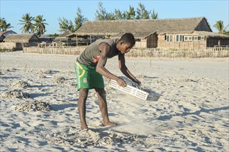 Malagasy fisherman collecting dried fish on the beach