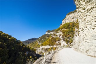 Road through a gorge on the Argun river