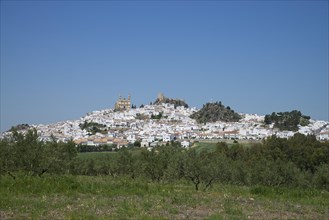 Olvera with the Nuestra Senora de la Encarnacion church and a Moorish castle