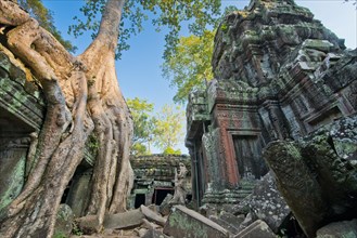 Temple of Ta Phrom