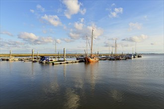 Boats in the marina of the sailing club