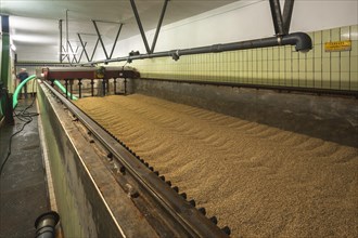 Malting box in a malthouse