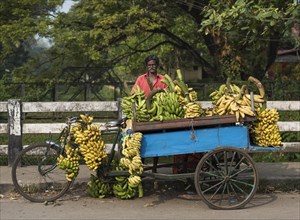 Bananas for sale from a cart