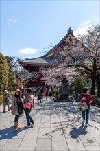 Cherry Blossom Buddhist temple complex