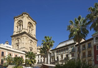 Plaza Romanilla with the tower of the Granada Cathedral