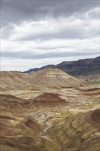 A hill of the Painted Hills