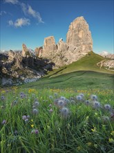 Cinque Torri with blue sky and a meadow with flowers in the foreground