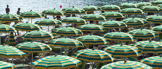 Rows of parasols on the beach