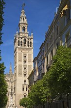 La Giralda bell tower of the Seville Cathedral